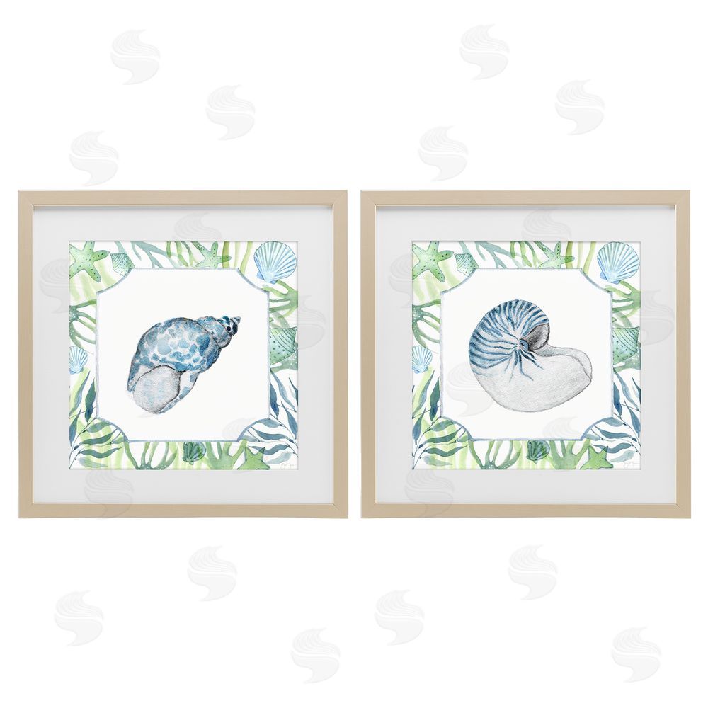 Janet Tava Seaweed Bordered Seashells Brown Framed Print Under Glass Wall Art