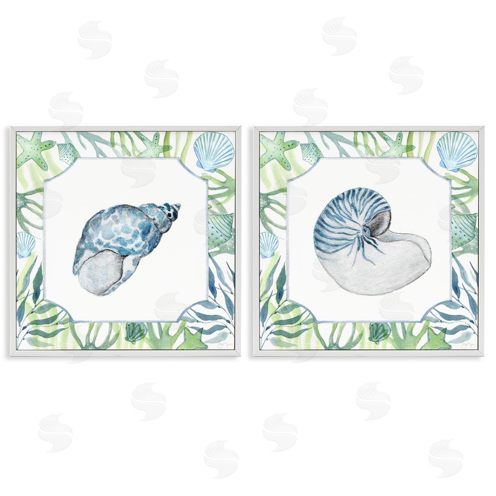 Janet Tava Seaweed Bordered Seashells White Framed Giclee Wall Art Print