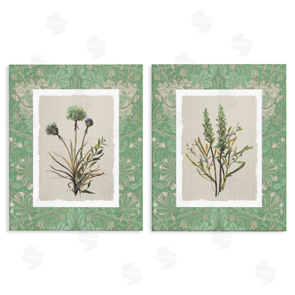Carol Robinson Green Tone Herbal Blooms Stretched Canvas Wall Art Print