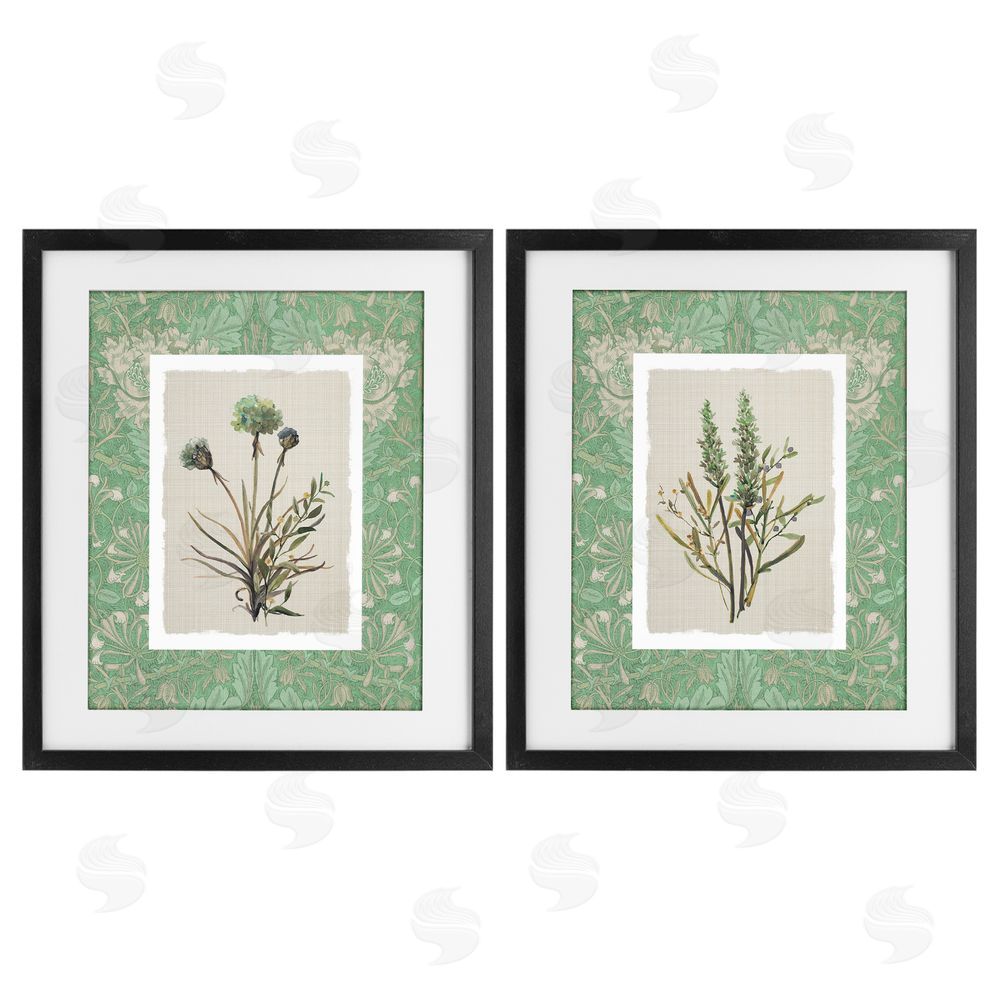 Carol Robinson Green Tone Herbal Blooms Black Framed Print Under Glass Wall Art