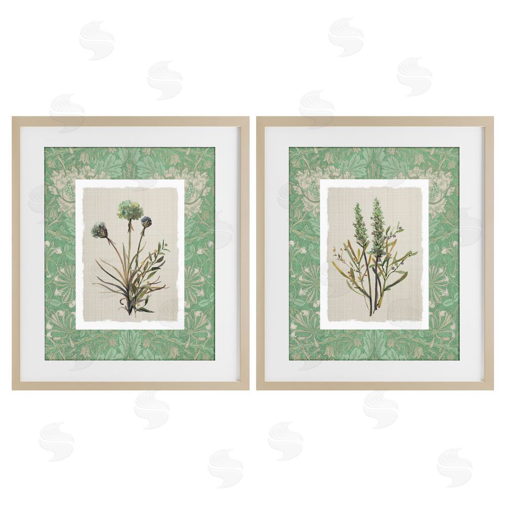 Carol Robinson Green Tone Herbal Blooms Brown Framed Print Under Glass Wall Art