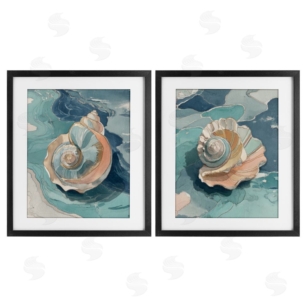 Paula Freeman Coastal Seashell Spiral on Teal Black Framed Print Under Glass Wall Art