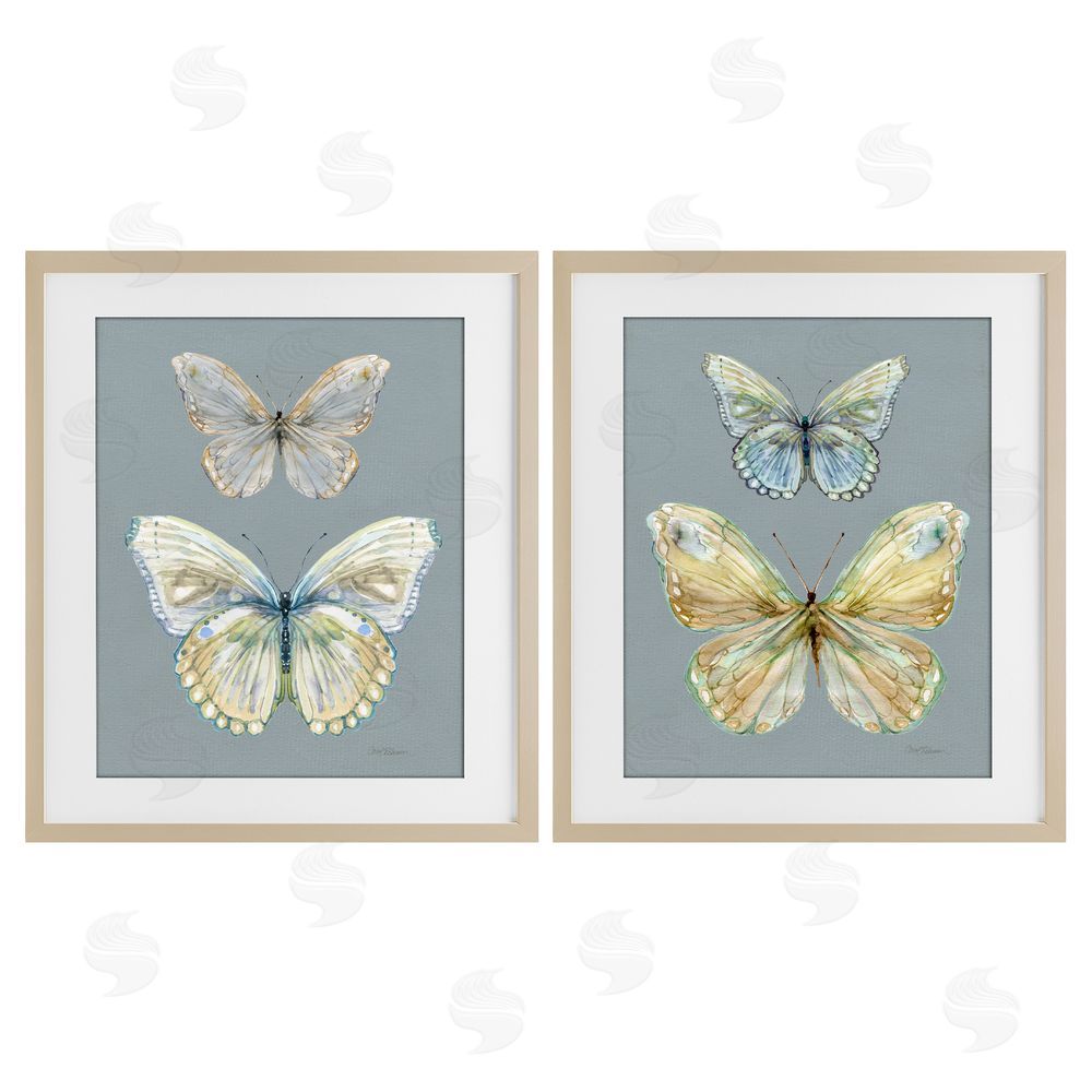 Carol Robinson Butterfly Pairs over Slate Brown Framed Print Under Glass Wall Art