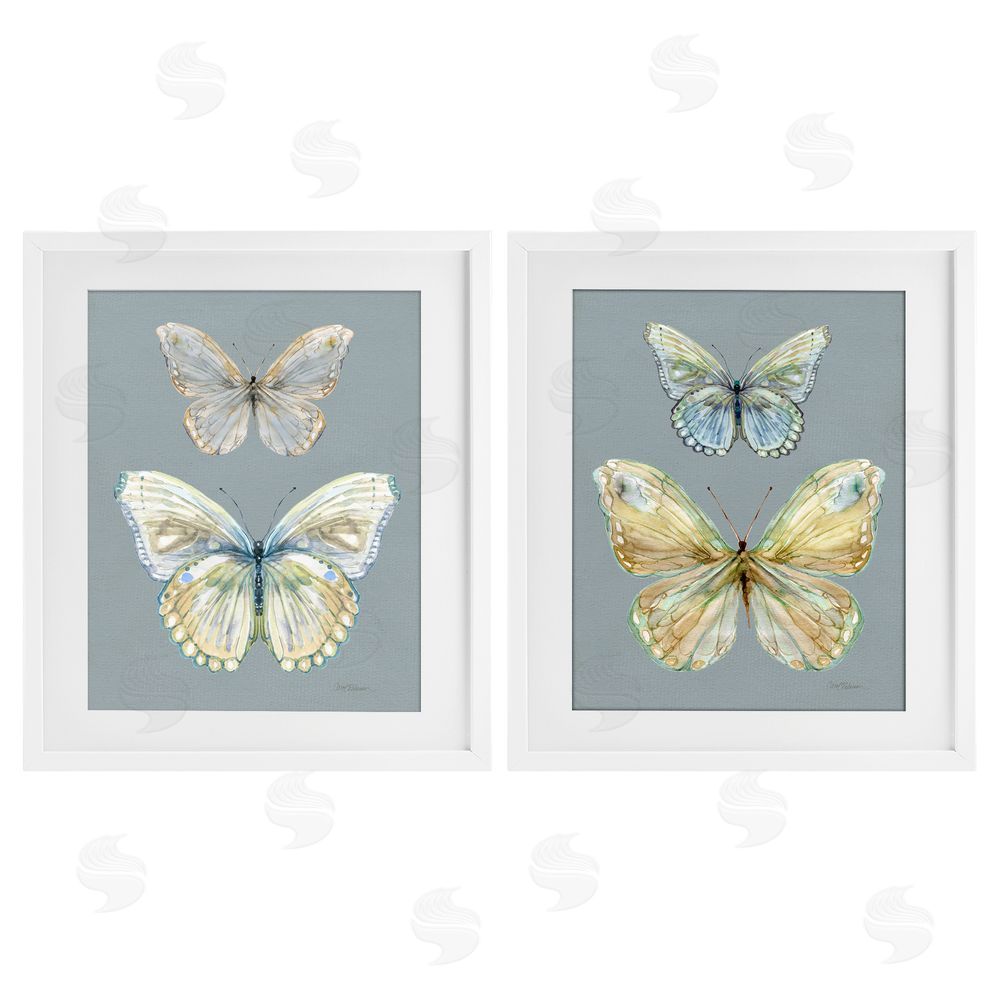 Carol Robinson Butterfly Pairs over Slate White Framed Print Under Glass Wall Art