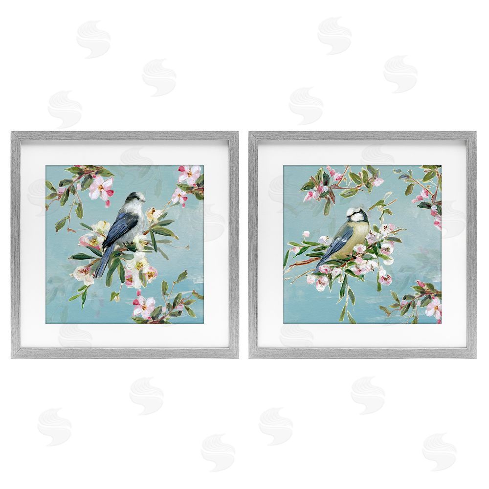 Sally Swatland Songbirds Among Spring Blossoms Gray Framed Print Under Glass Wall Art