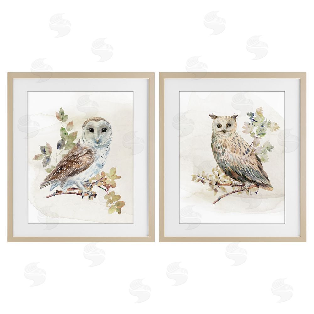 CAD Designs Owls Perched in Foliage Brown Framed Print Under Glass Wall Art