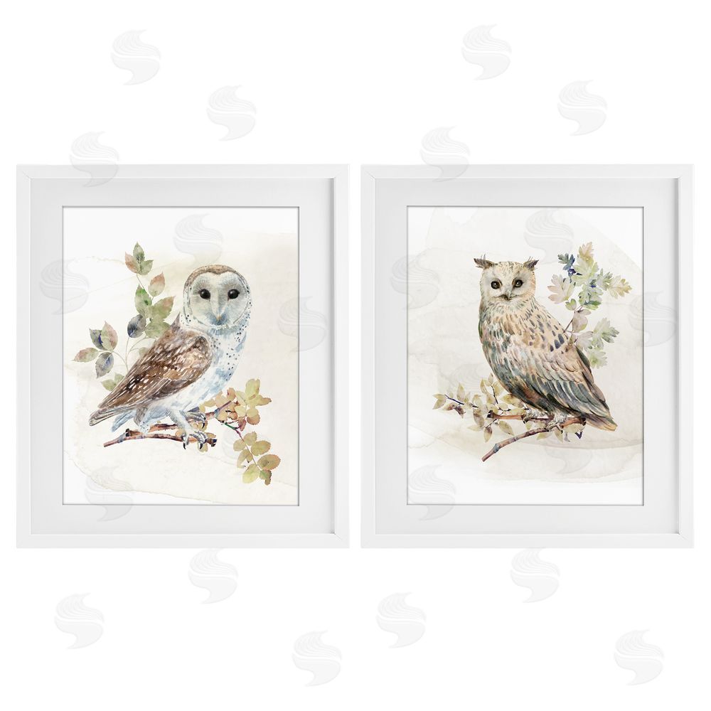 CAD Designs Owls Perched in Foliage White Framed Print Under Glass Wall Art