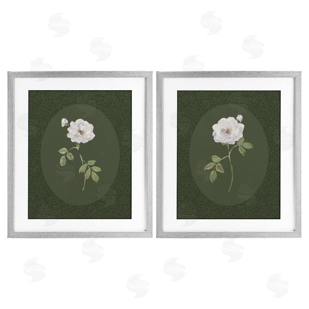 Sally Swatland Ornate Rose Studies over Emerald Gray Framed Print Under Glass Wall Art