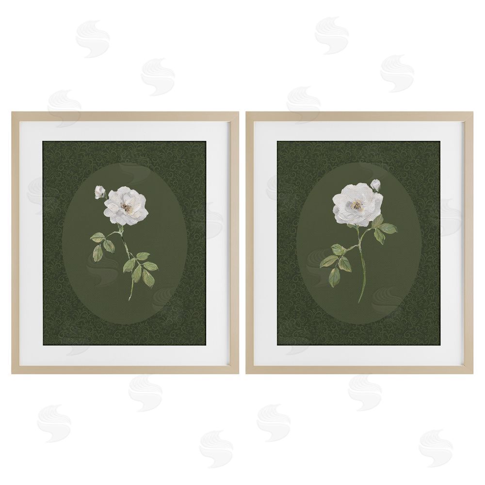 Sally Swatland Ornate Rose Studies over Emerald Brown Framed Print Under Glass Wall Art