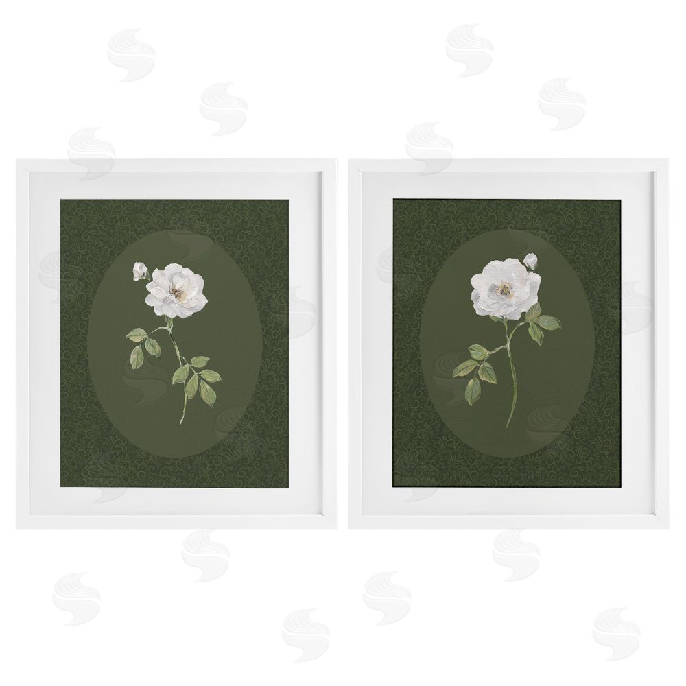 Sally Swatland Ornate Rose Studies over Emerald White Framed Print Under Glass Wall Art