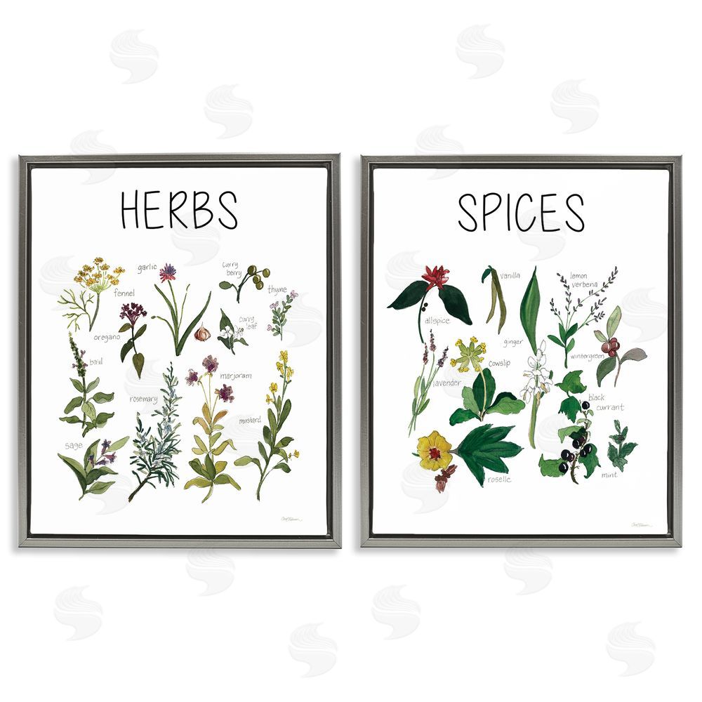Carol Robinson Culinary Herbs & Spices Gray Floating Frame Canvas Wall Art Print