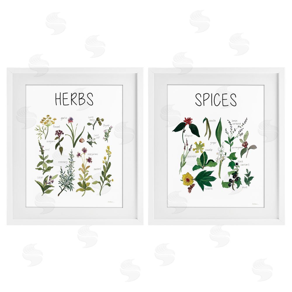 Carol Robinson Culinary Herbs & Spices White Framed Print Under Glass Wall Art