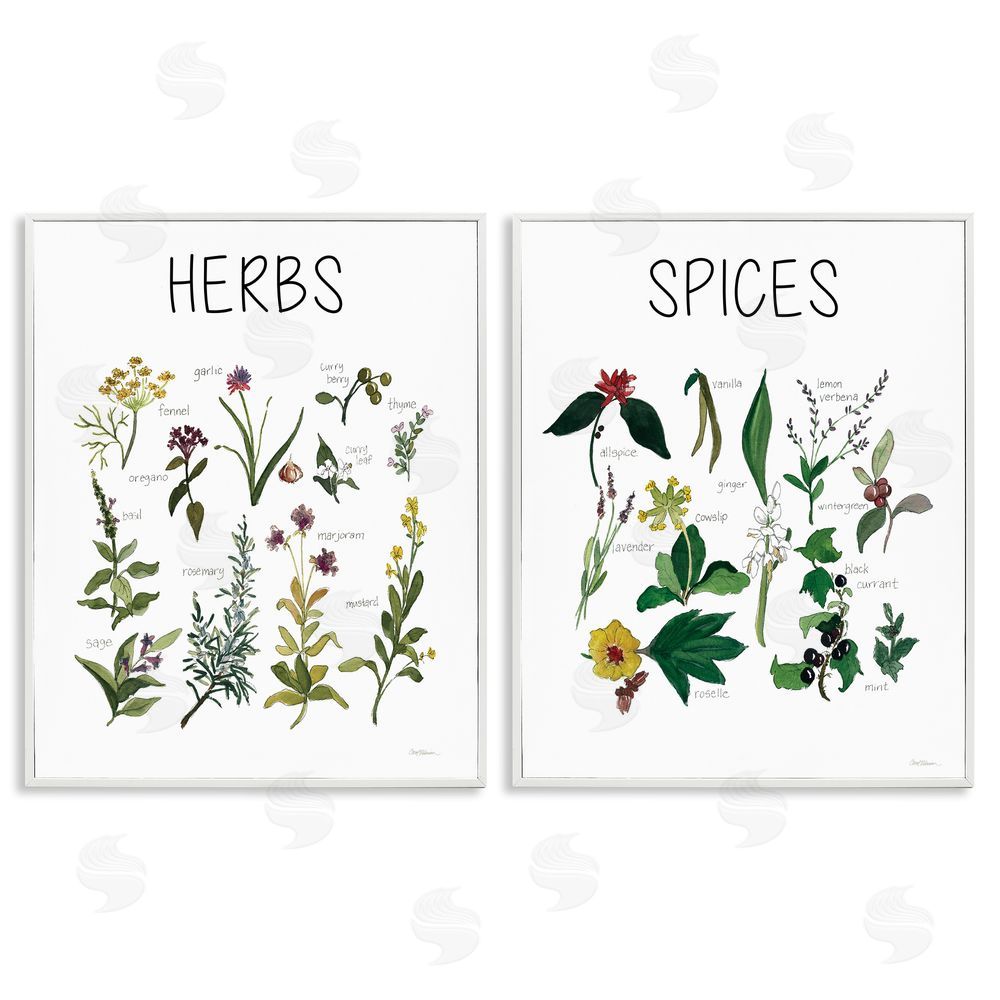 Carol Robinson Culinary Herbs & Spices White Framed Giclee Wall Art Print