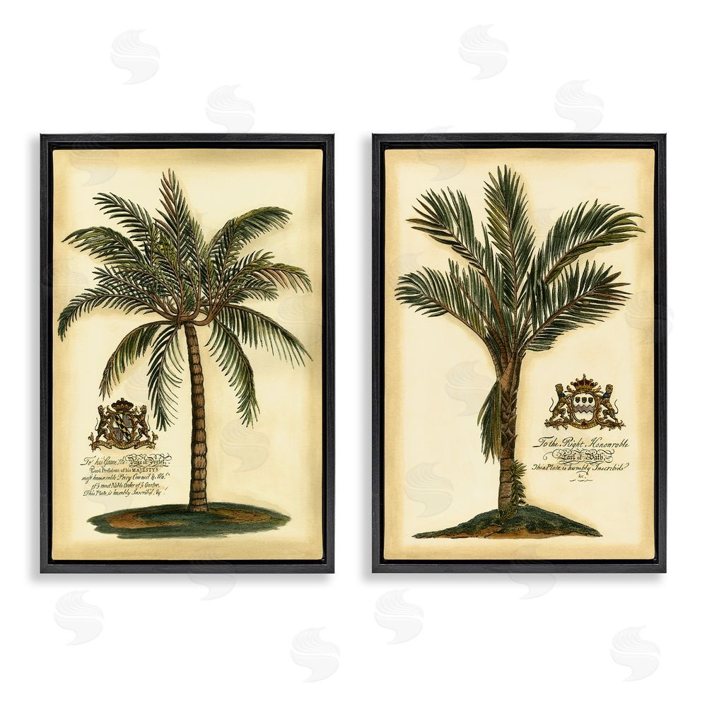 Vision Studio Vintage Historical Palms Black Floating Frame Canvas Wall Art Print