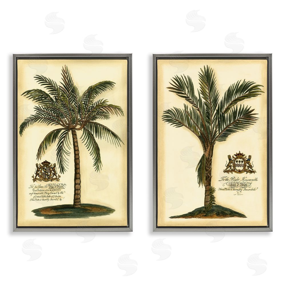 Vision Studio Vintage Historical Palms Gray Floating Frame Canvas Wall Art Print