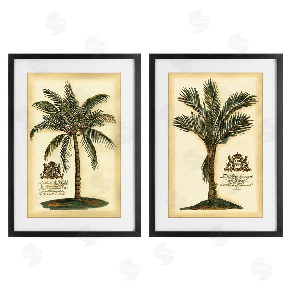 Vision Studio Vintage Historical Palms Black Framed Print Under Glass Wall Art