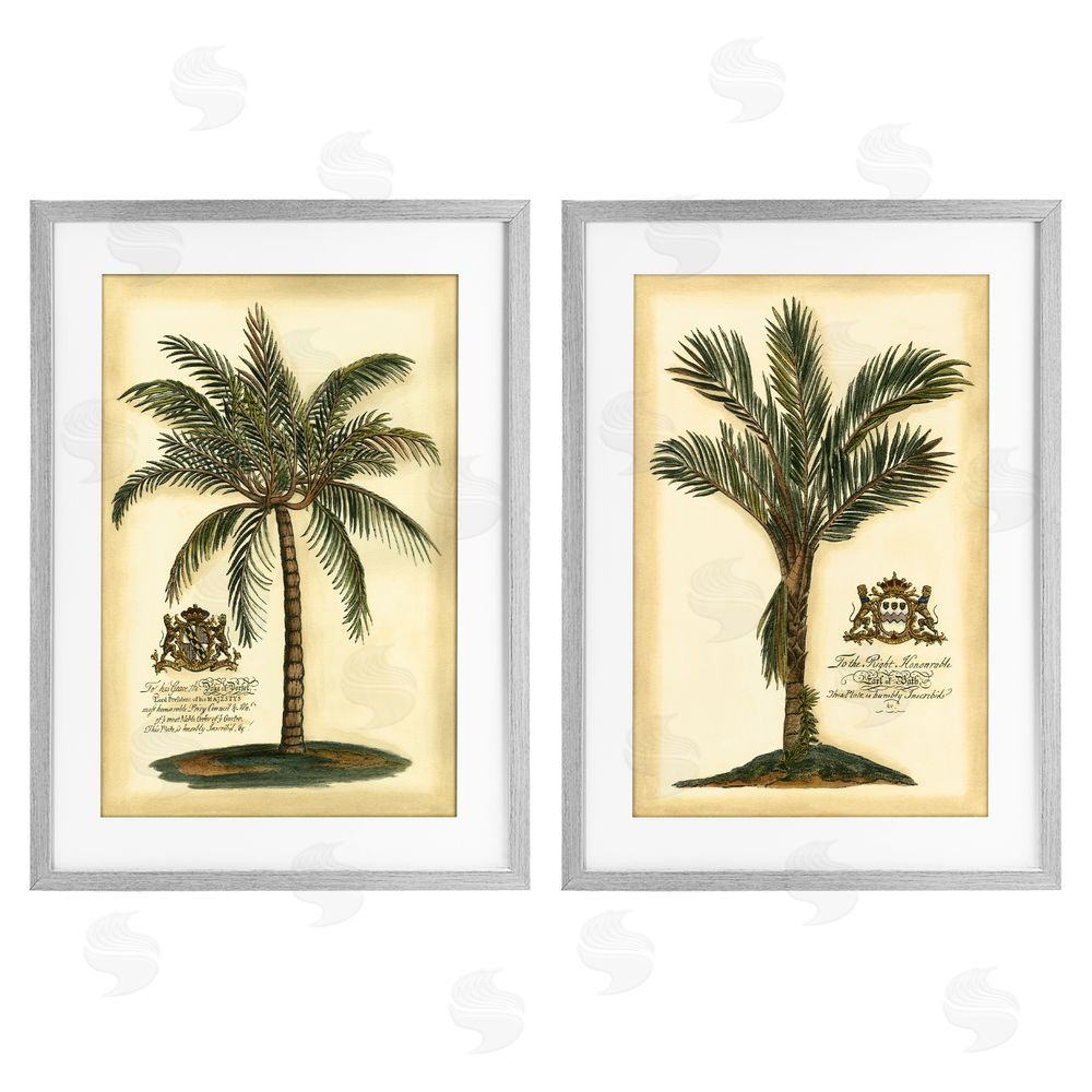Vision Studio Vintage Historical Palms Gray Framed Print Under Glass Wall Art