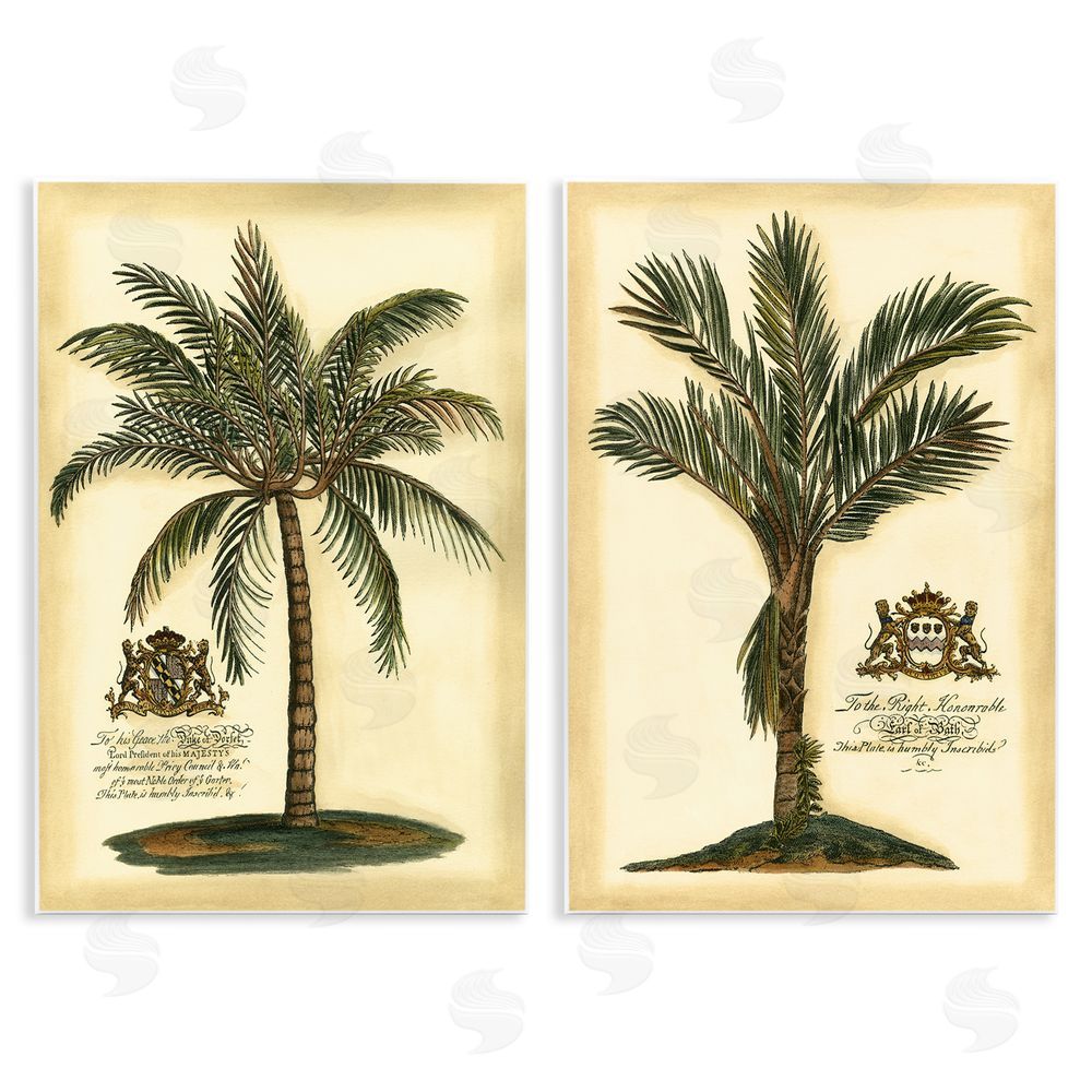 Vision Studio Vintage Historical Palms Wooden Wall Plaque Art Print