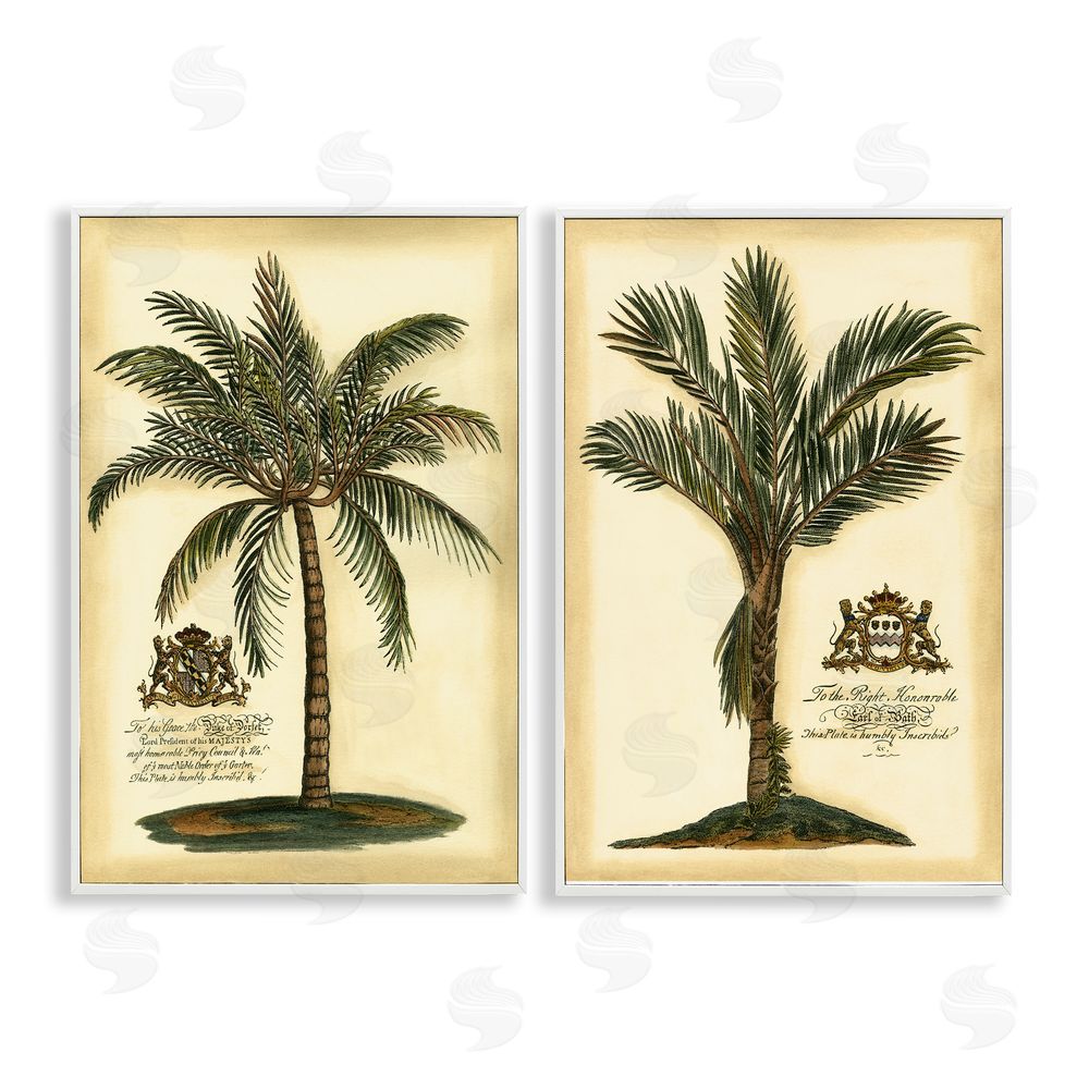 Vision Studio Vintage Historical Palms White Framed Giclee Wall Art Print