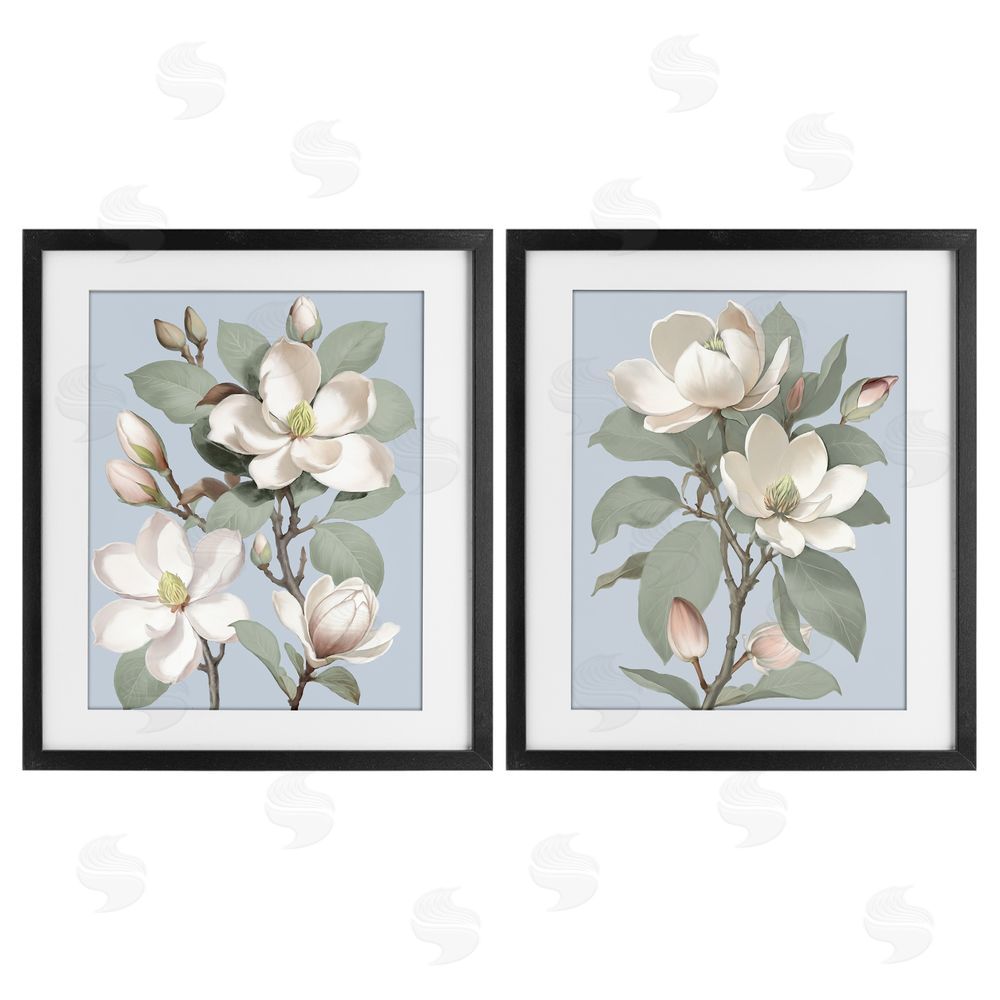 Elizabeth Medley Magnolia Bunches on Soft Blue Black Framed Print Under Glass Wall Art