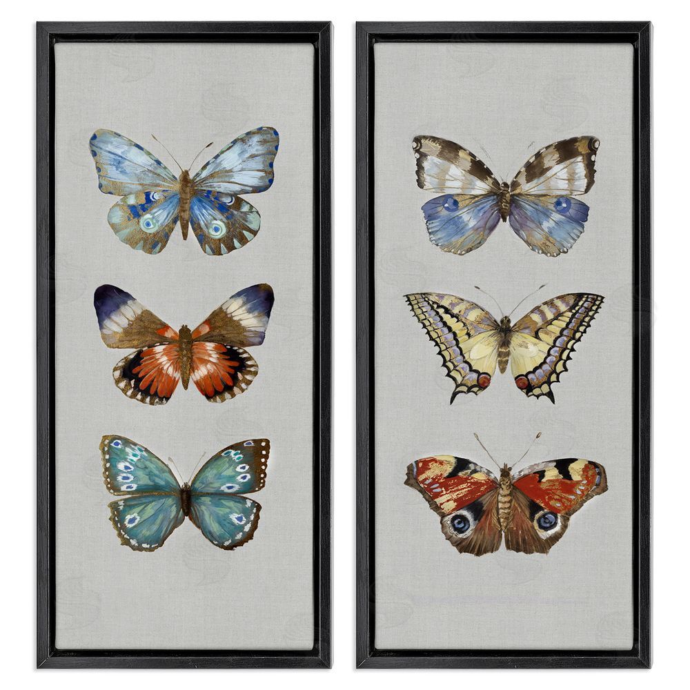 Maya Woods Delicate Butterflies Of The Wild Black Floating Frame Canvas Wall Art Print