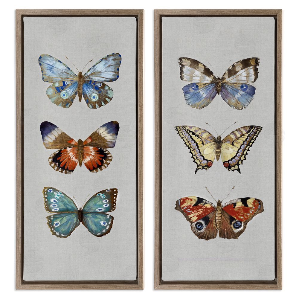 Maya Woods Delicate Butterflies Of The Wild Brown Floating Frame Canvas Wall Art Print
