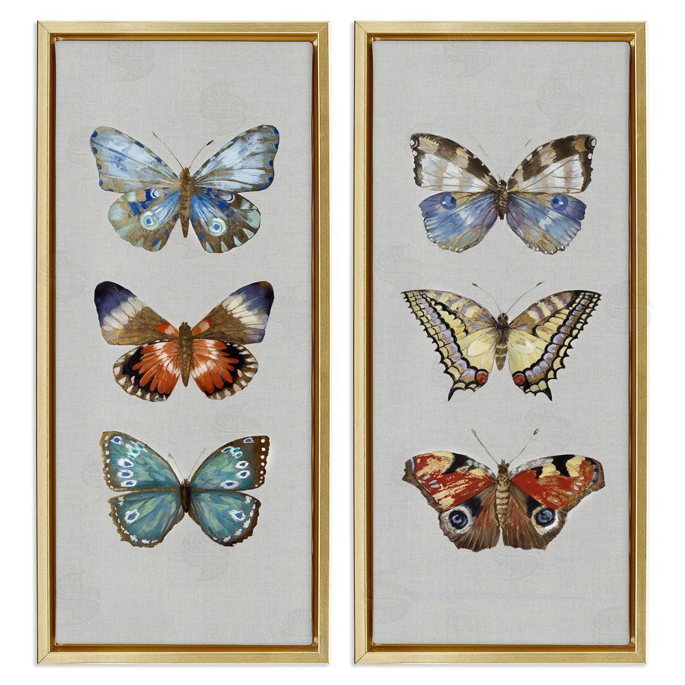 Maya Woods Delicate Butterflies Of The Wild Gold Floating Frame Canvas Wall Art Print