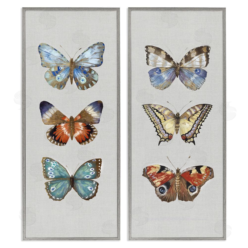Maya Woods Delicate Butterflies Of The Wild Gray Framed Giclee Wall Art Print
