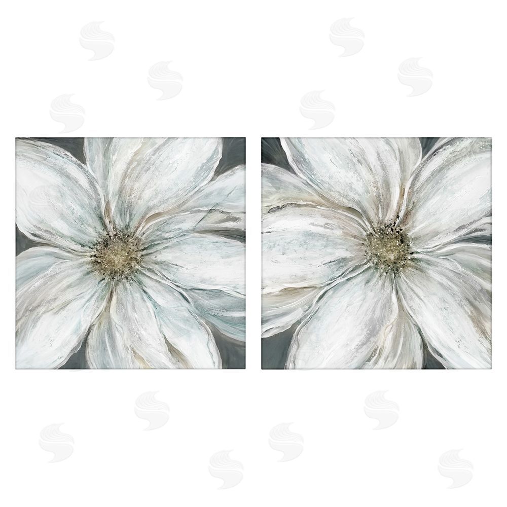 Carol Robinson Soft White Blossoms Closeup Stretched Canvas Wall Art Print