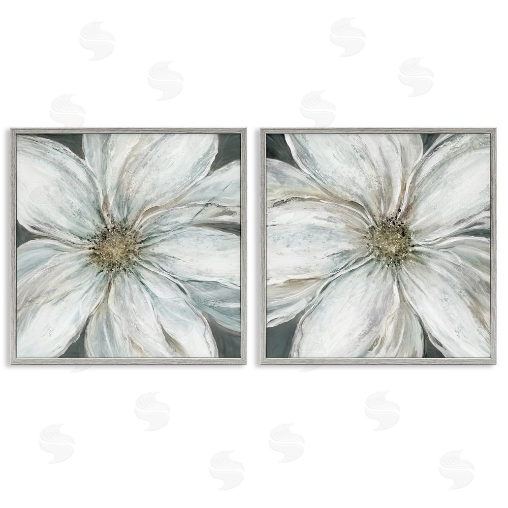 Carol Robinson Soft White Blossoms Closeup Gray Framed Giclee Wall Art Print