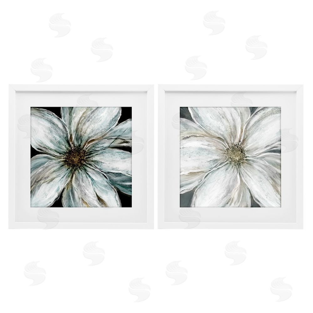 Carol Robinson Soft White Blossoms Closeup White Framed Print Under Glass Wall Art