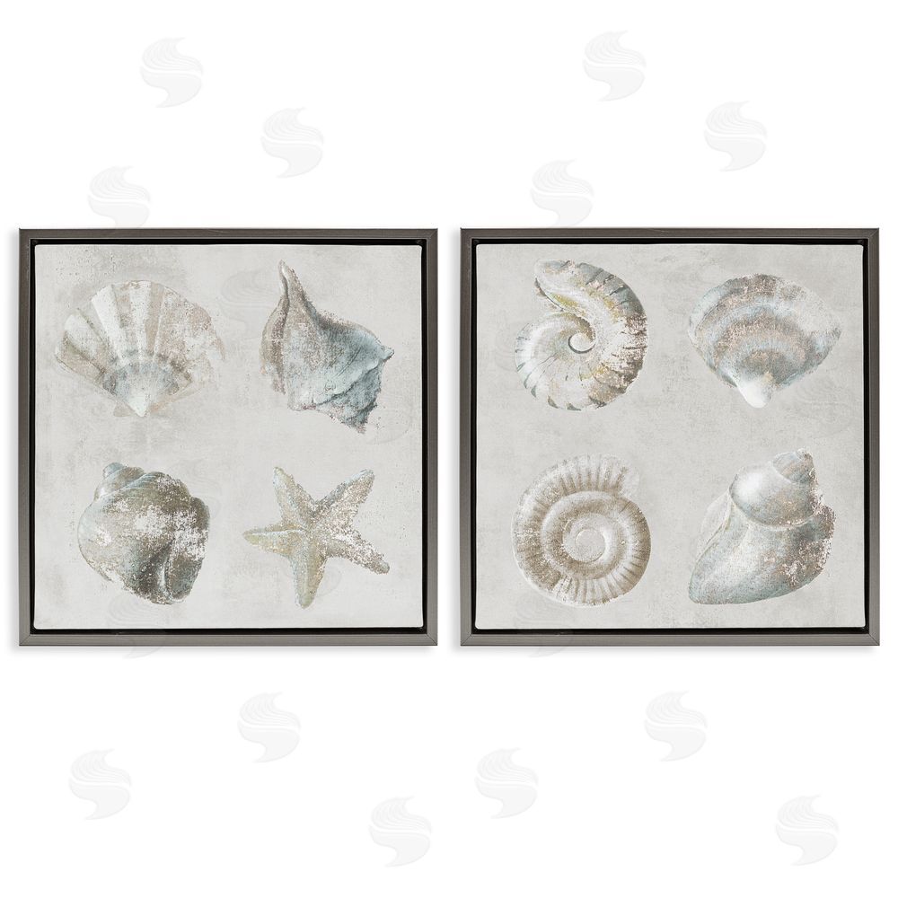 Lorenzo Collective Shoreline Treasures Seashells Collection Gray Floating Frame Canvas Wall Art Print