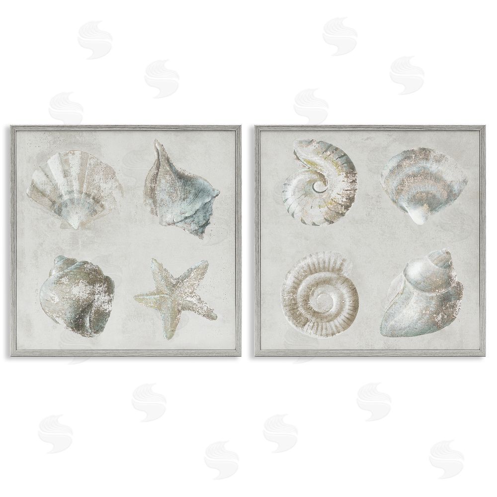 Lorenzo Collective Shoreline Treasures Seashells Collection Gray Framed Giclee Wall Art Print