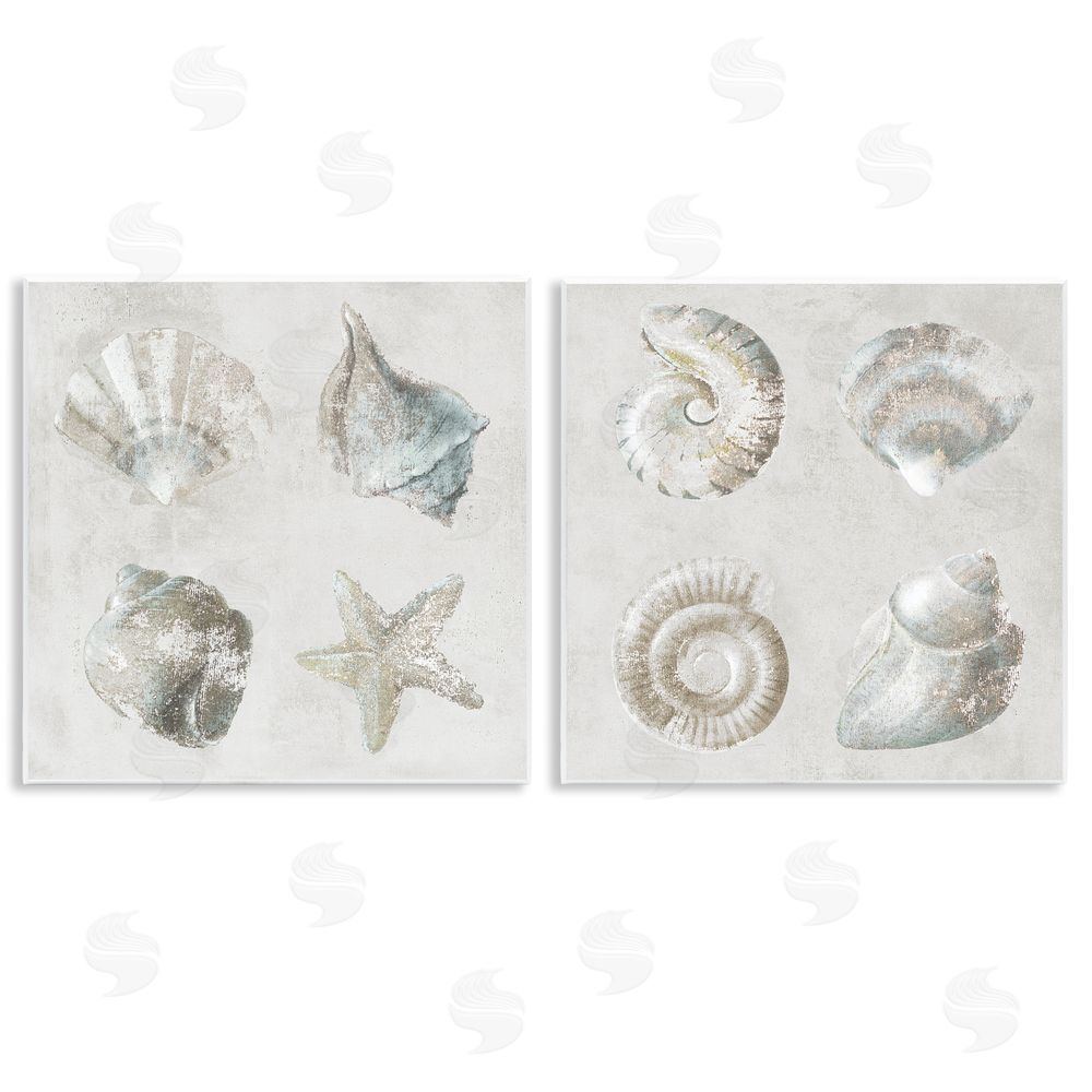 Lorenzo Collective Shoreline Treasures Seashells Collection Wooden Wall Plaque Art Print