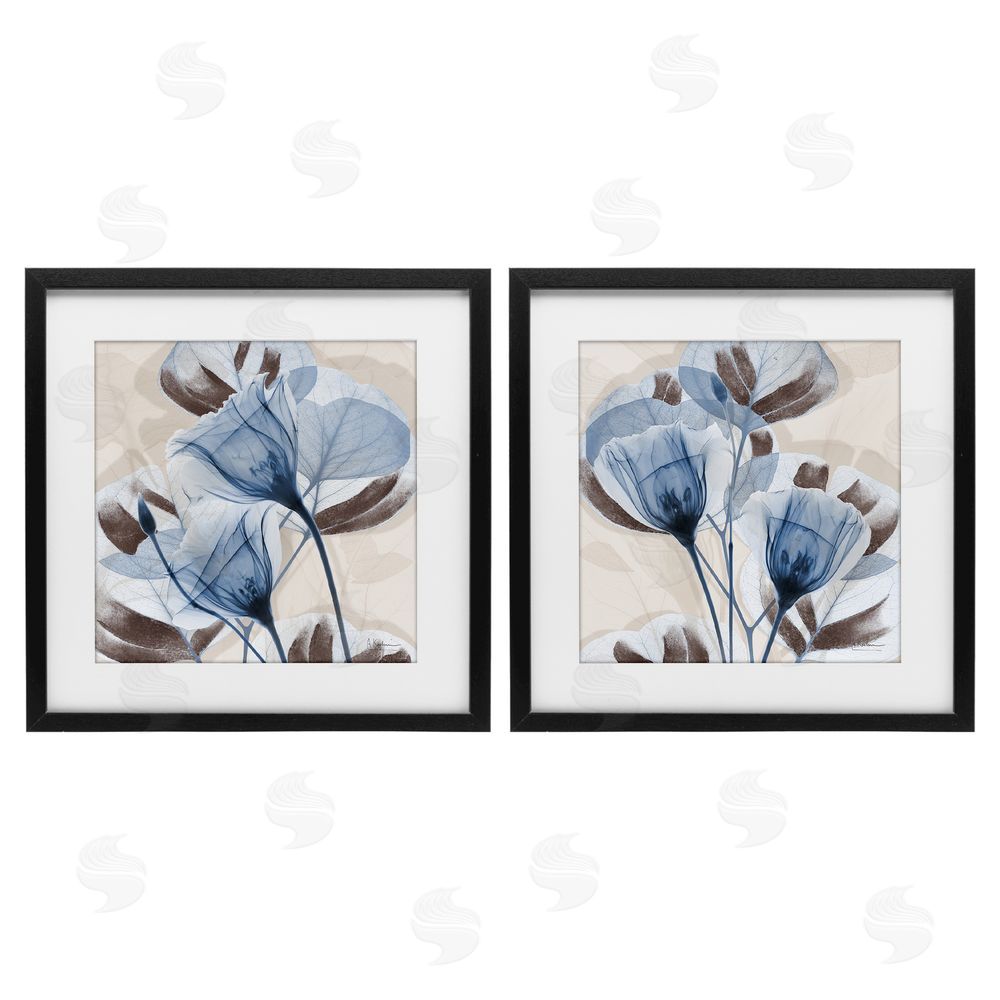 Albert Koetsier Blooming Sapphire Union Black Framed Print Under Glass Wall Art