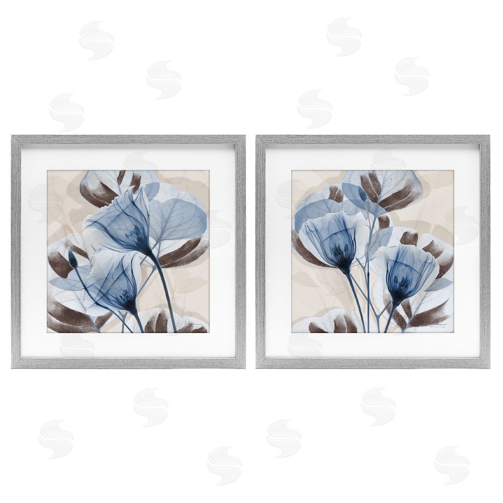 Albert Koetsier Blooming Sapphire Union Gray Framed Print Under Glass Wall Art