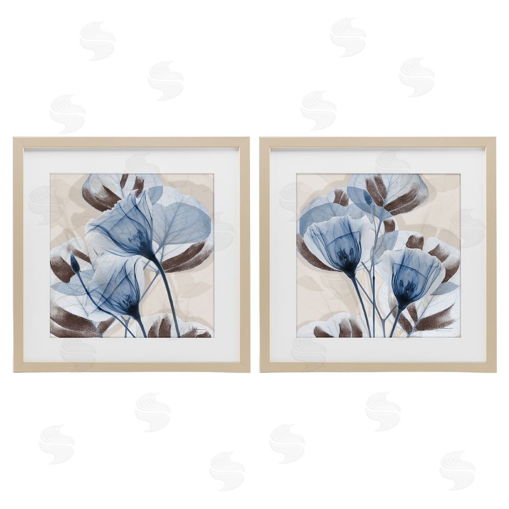 Albert Koetsier Blooming Sapphire Union Brown Framed Print Under Glass Wall Art