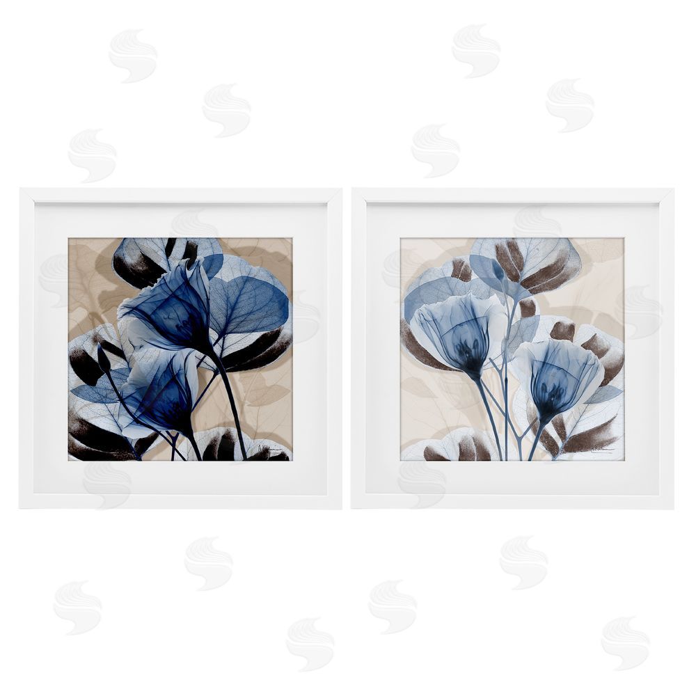 Albert Koetsier Blooming Sapphire Union White Framed Print Under Glass Wall Art