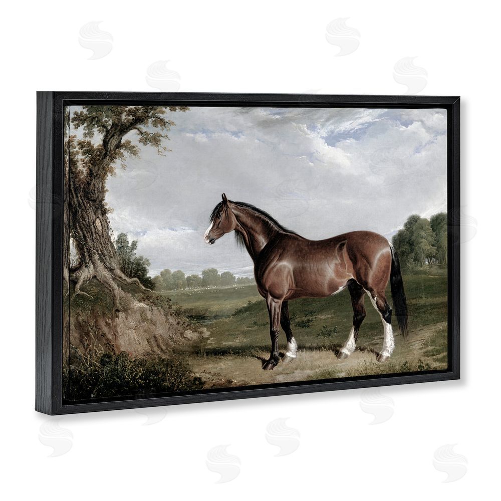Corinne Haig Majestic Equine Nature Portrait Black Floating Frame Canvas Wall Art Print
