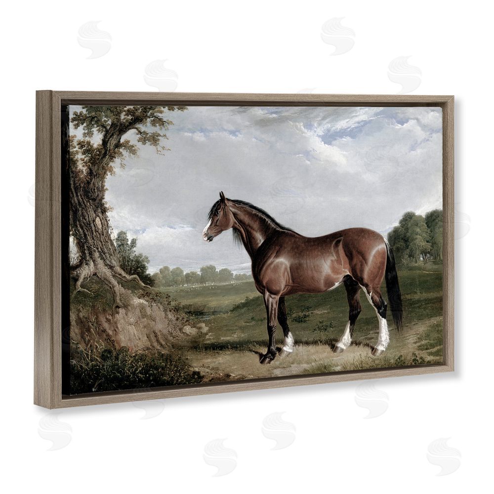 Corinne Haig Majestic Equine Nature Portrait Brown Floating Frame Canvas Art Print