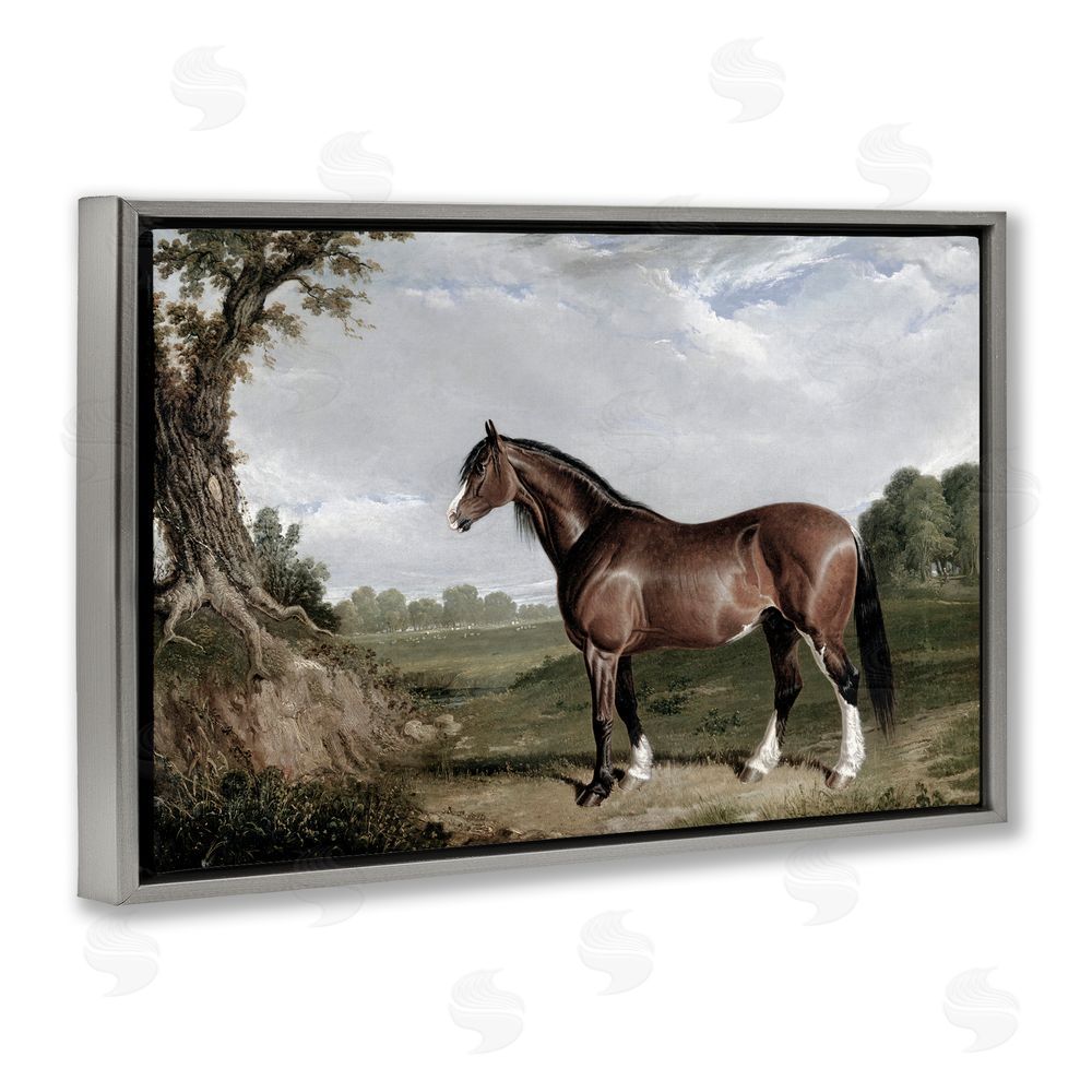 Corinne Haig Majestic Equine Nature Portrait Gray Floating Frame Canvas Art Print