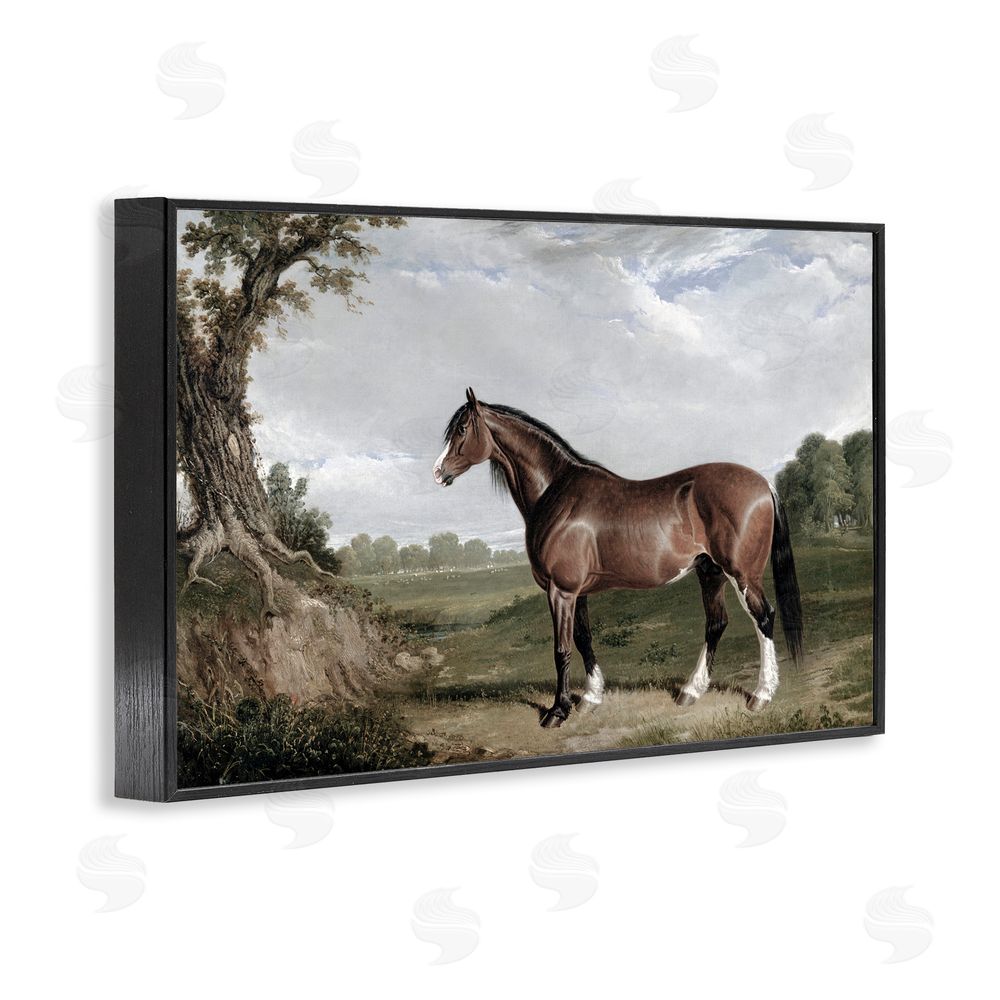 Corinne Haig Majestic Equine Nature Portrait Black Framed Giclee Art Print