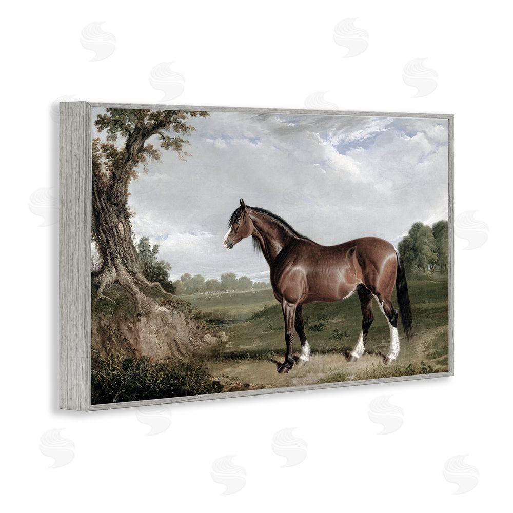 Corinne Haig Majestic Equine Nature Portrait Gray Framed Giclee Art Print