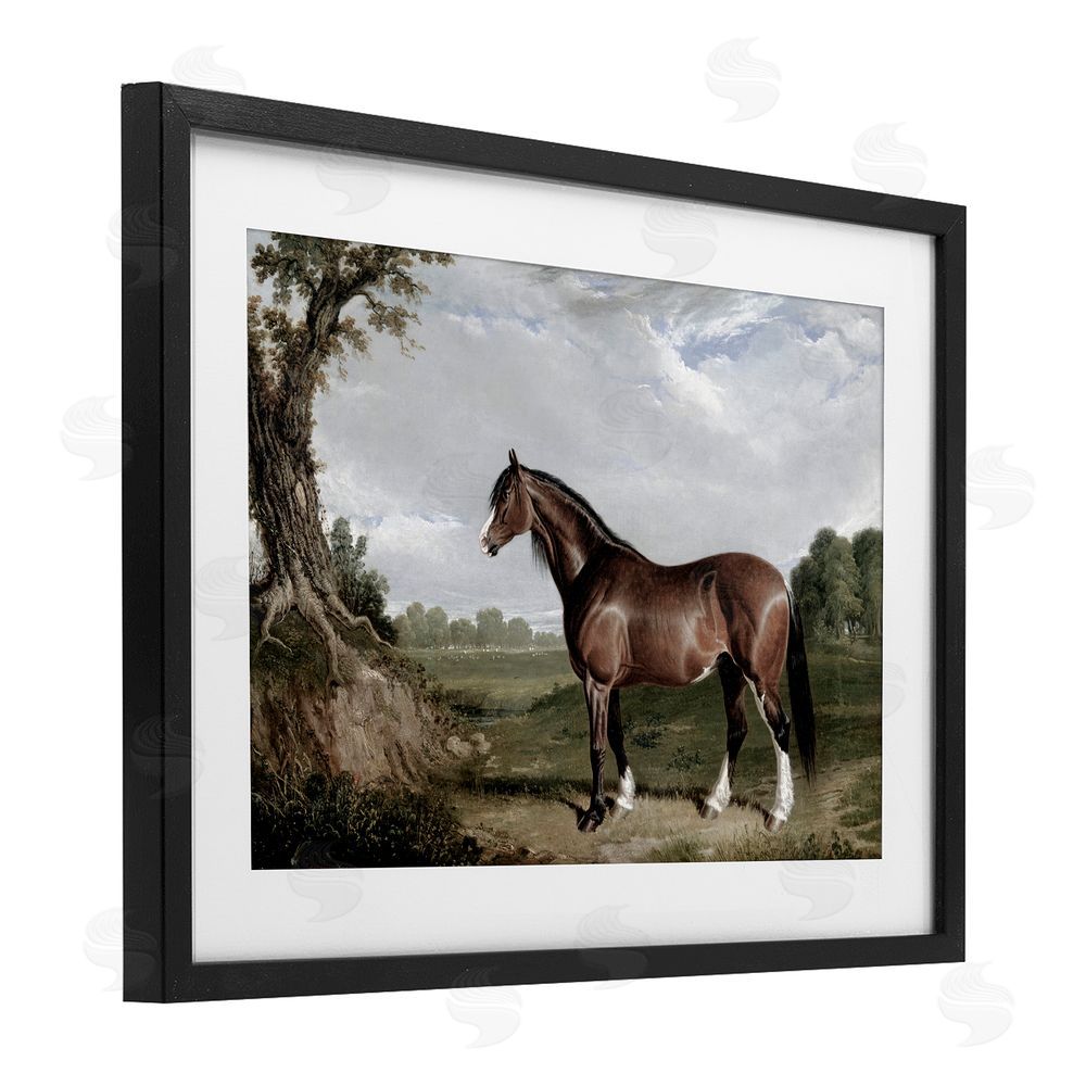 Corinne Haig Majestic Equine Nature Portrait Black Framed Print Under Glass Art
