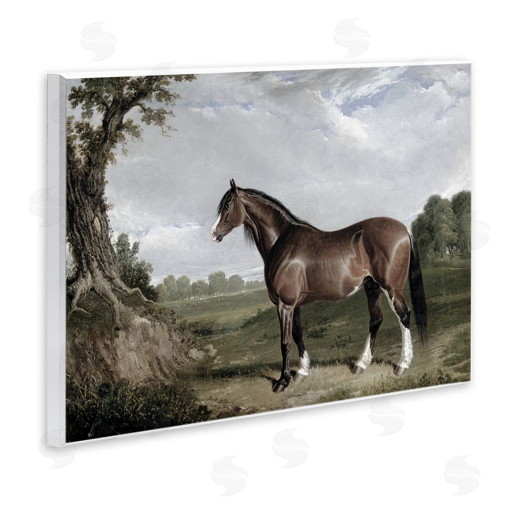 Corinne Haig Majestic Equine Nature Portrait Wall Plaque Art Print