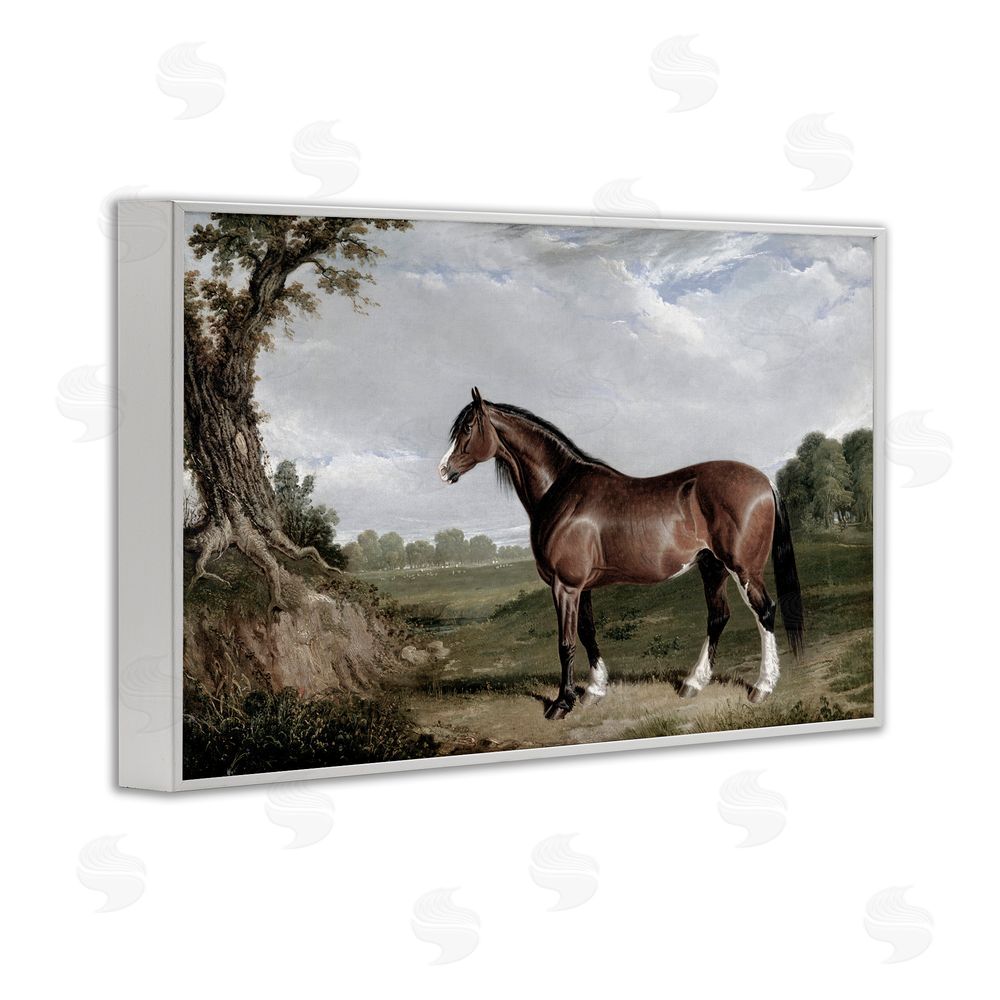 Corinne Haig Majestic Equine Nature Portrait White Frame Giclee Art Print