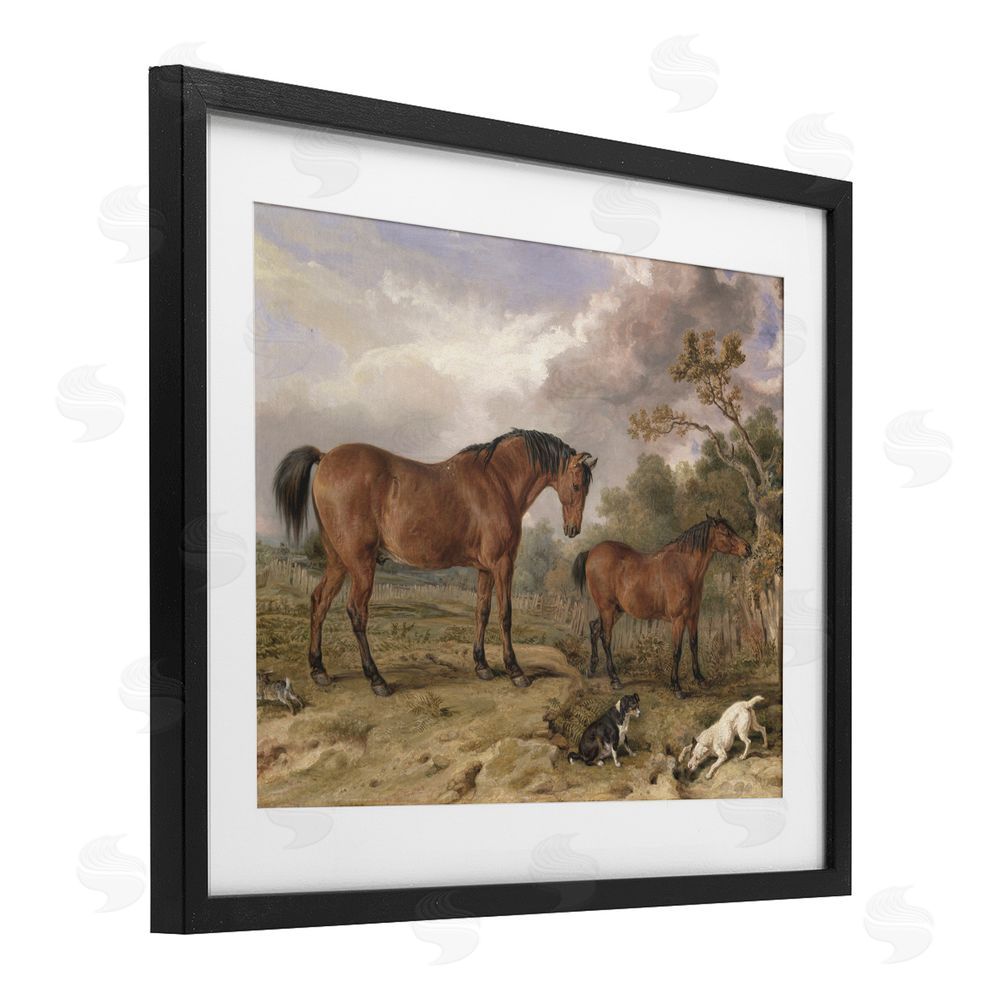 Corinne Haig Wild Dogs & Horses Traditional Black Framed Print Under Glass Art