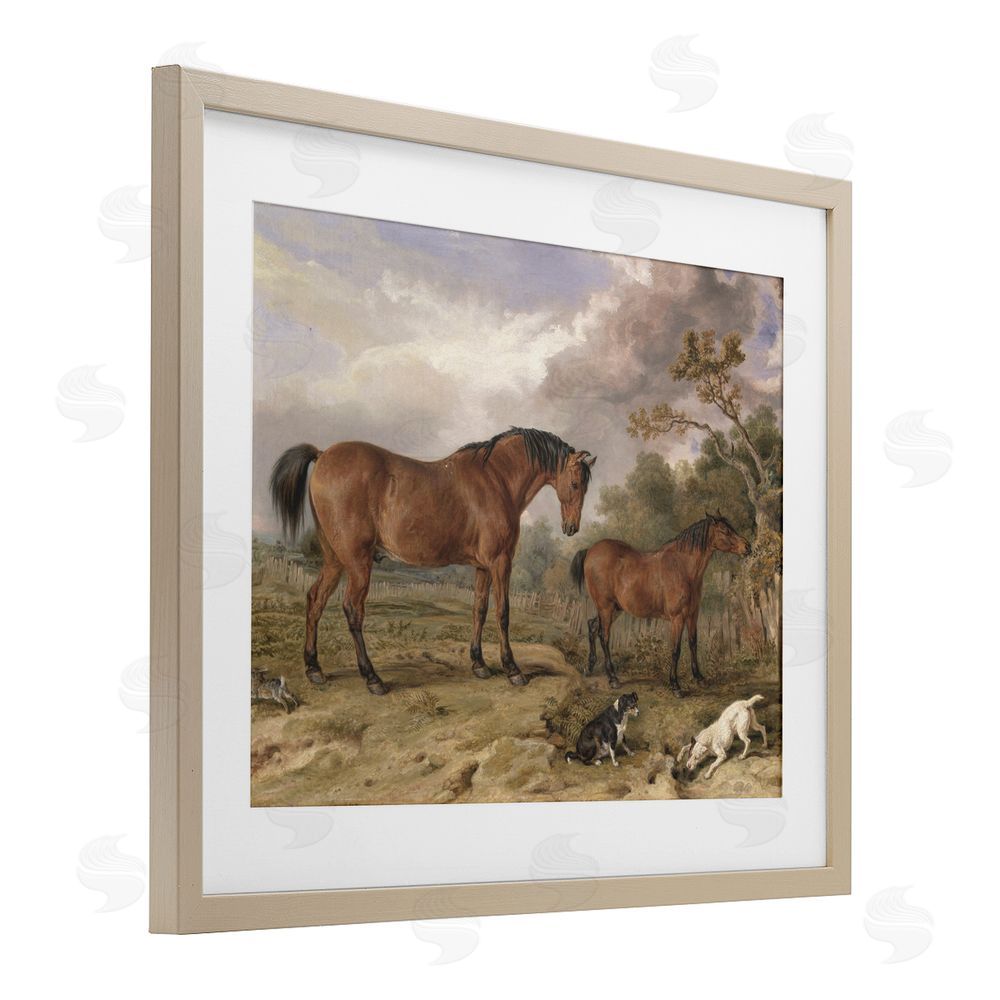 Corinne Haig Wild Dogs & Horses Traditional Birch Framed Print Under Glass Art
