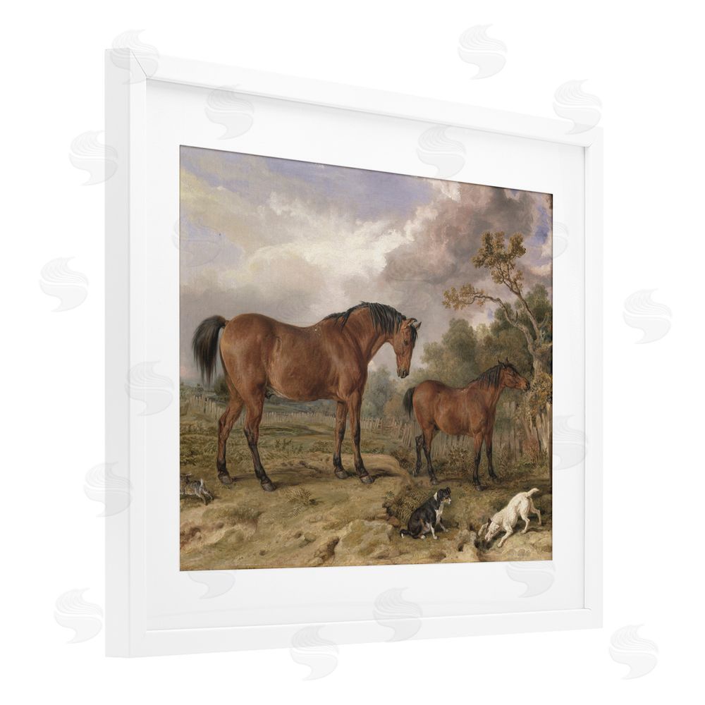 Corinne Haig Wild Dogs & Horses Traditional White Framed Print Under Glass Art