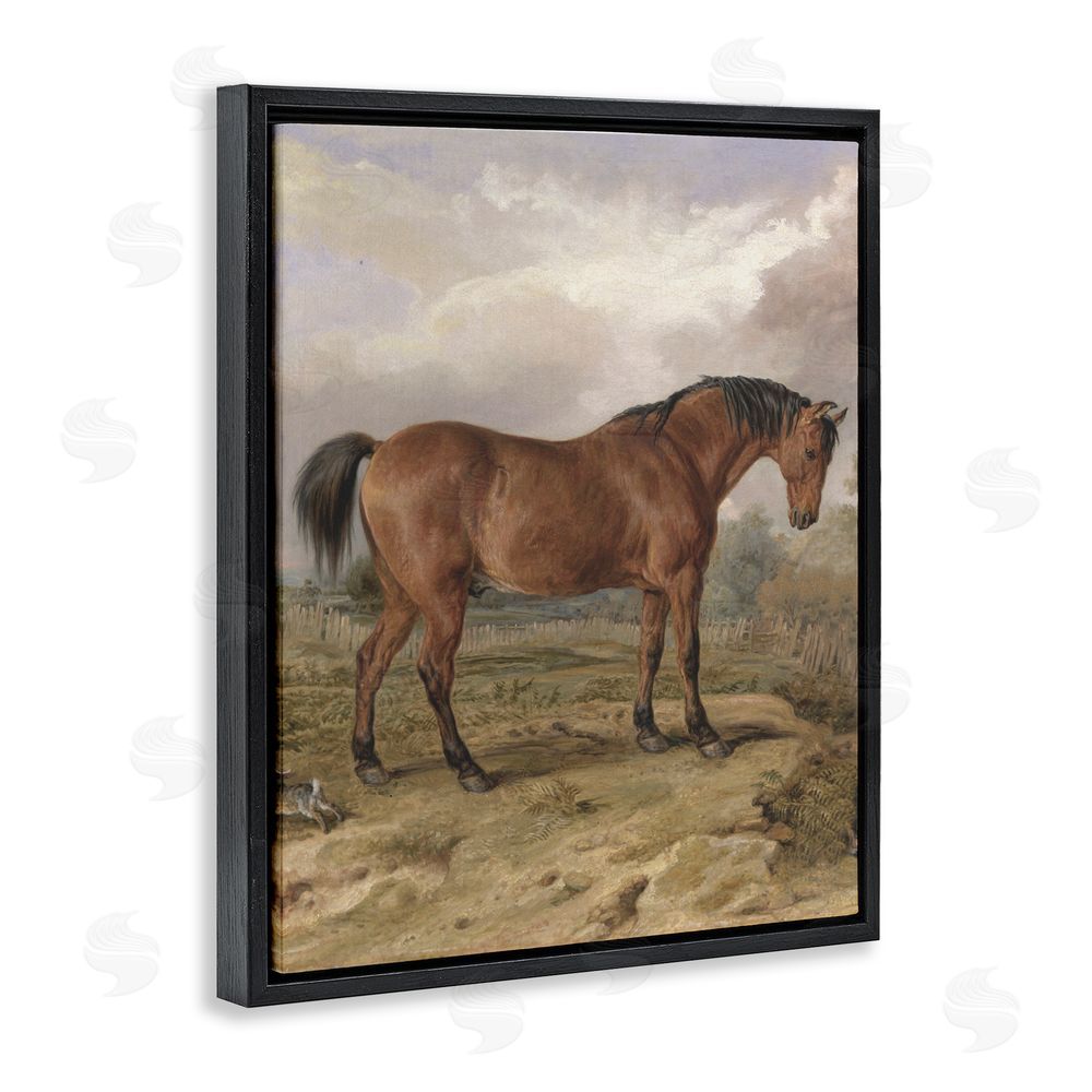 Corinne Haig Horse & Hare in Nature Black Floating Frame Canvas Wall Art Print